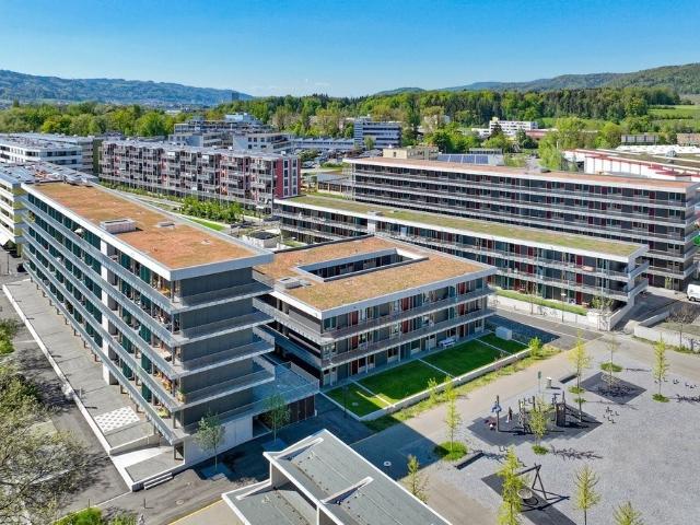Apartment mieten in Schlieren, Zürich