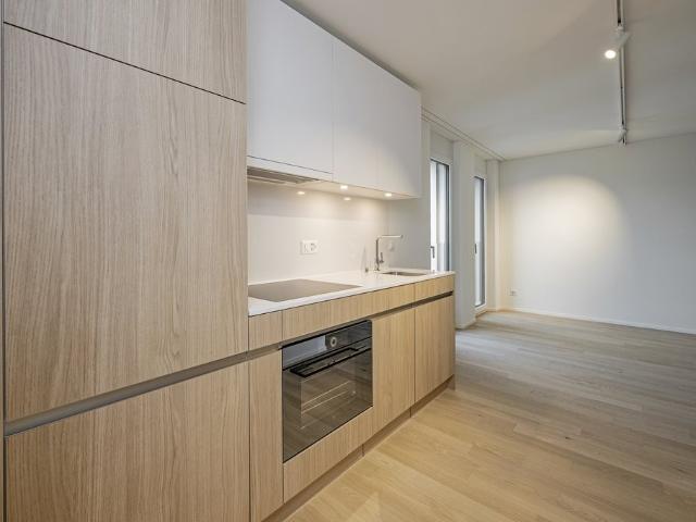 Apartment mieten in Schlieren, Bezirk Dietikon