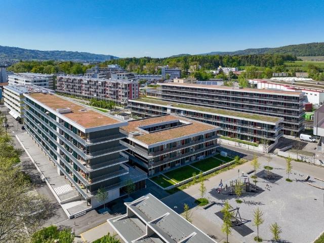 Apartment mieten in Schlieren, Zürich