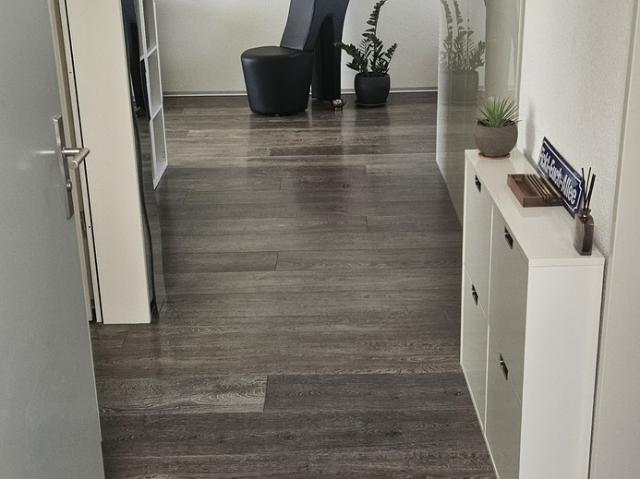 Apartment mieten in Schwerzenbach, Zürich