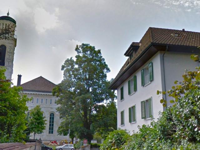 Apartment mieten in Solothurn