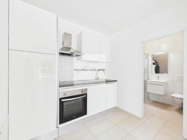 Apartment mieten in Solothurn