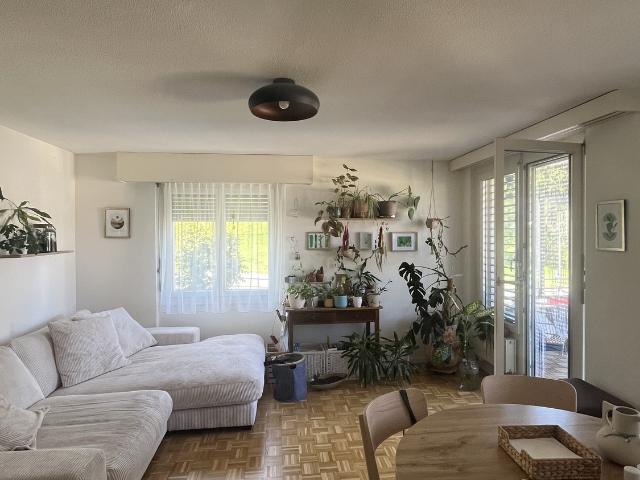 Apartment mieten in Schwarzenbach (SG), St. Gallen