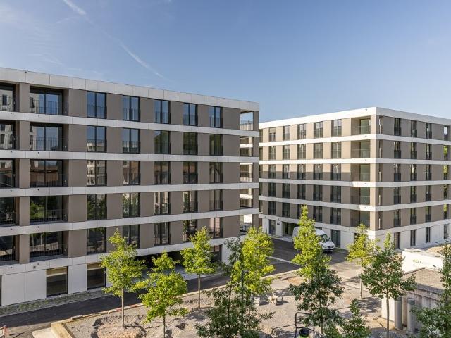 Apartment mieten in Unterkulm, Aargau