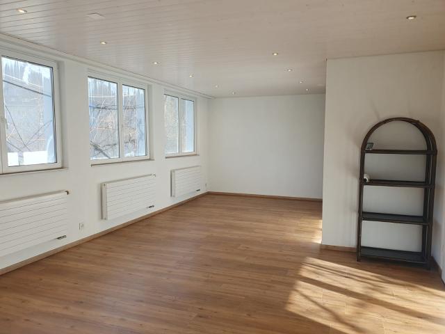 Apartment mieten in Wildhaus-Alt St. Johann, St. Gallen