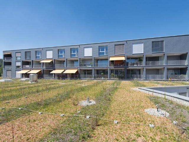 Apartment mieten in Urdorf, Zürich