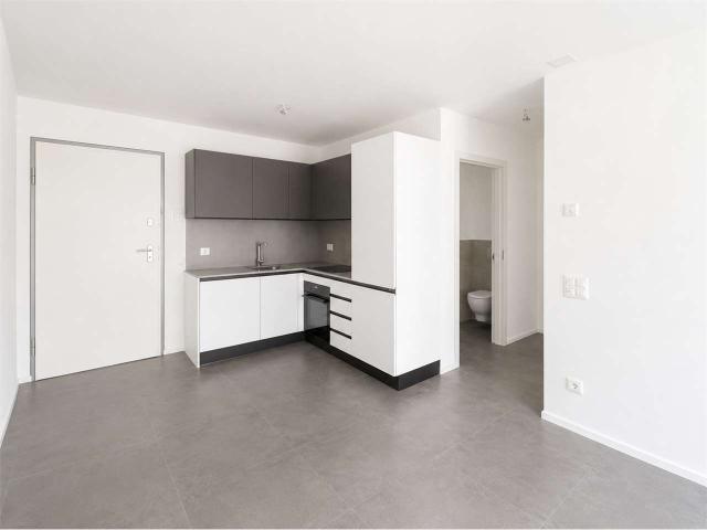 Apartment mieten in Vacallo, Tessin