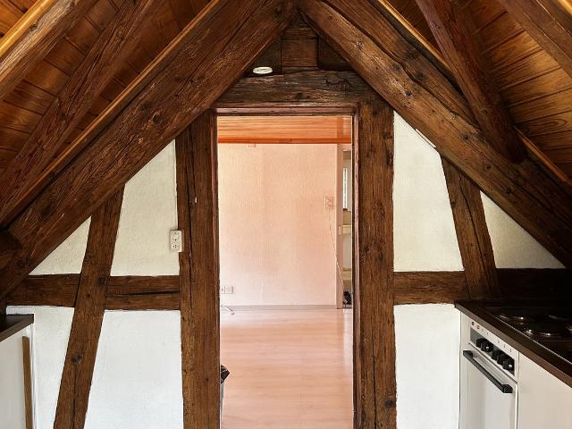 Apartment mieten in Wädenswil, Zürich