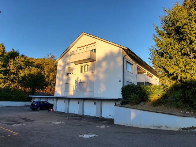 Apartment mieten in Heidenchilen, Wettswil am Albis