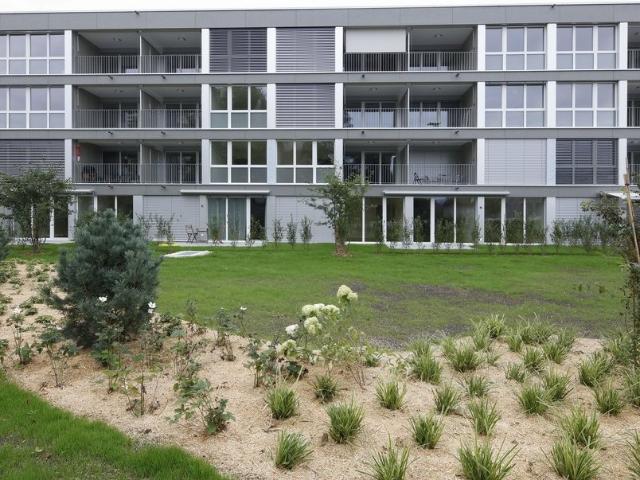 Apartment mieten in Zollikofen, Bern