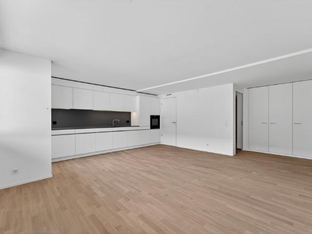 Apartment mieten in Neustadt, Zug