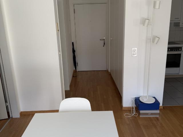 Apartment mieten in Oberwil bei Zug, Zug