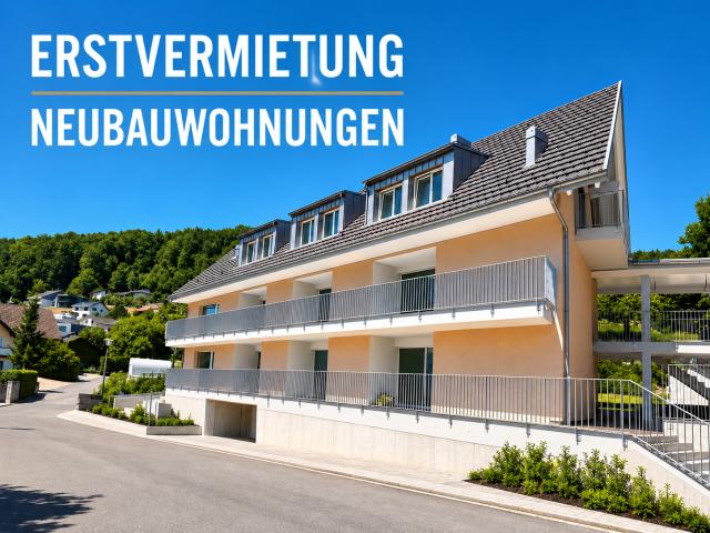 Apartment mieten in Zullwil, Solothurn