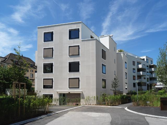 Apartment mieten in Einigen, Zürich