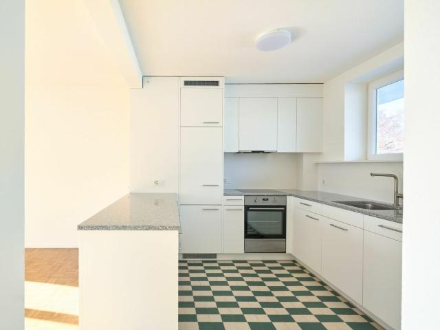 Apartment mieten in Einigen, Zürich