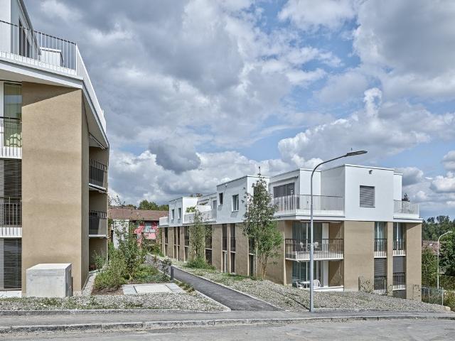 Apartment mieten in Einigen, Zürich