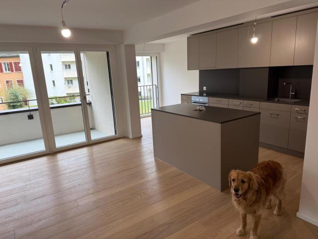 Apartment mieten in Einigen, Zürich