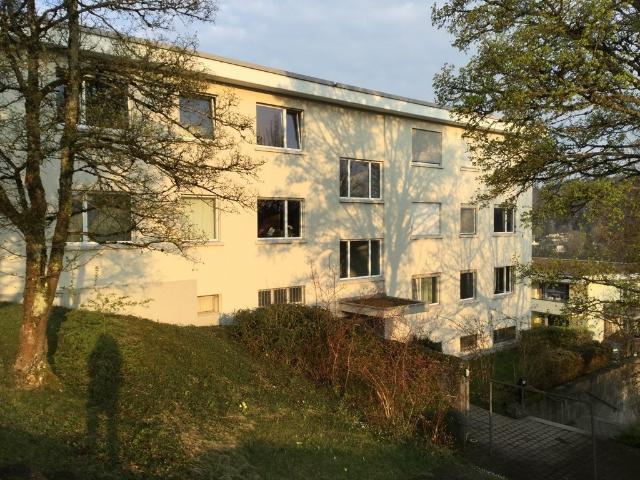 Apartment mieten in Witikon, Zürich