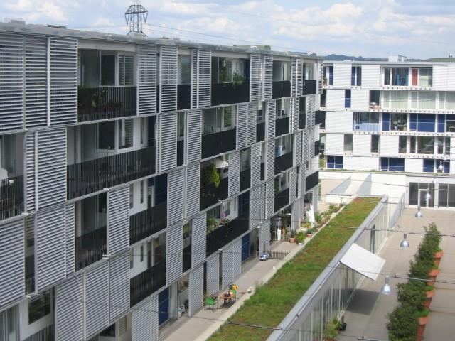 Apartment mieten in Einigen, Zürich