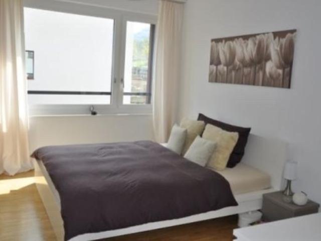 Apartment mieten in Einigen, Zürich