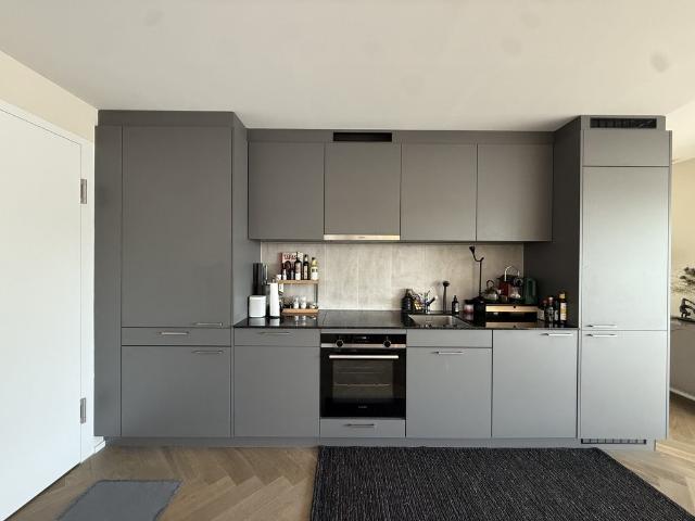 Apartment mieten in Einigen, Zürich