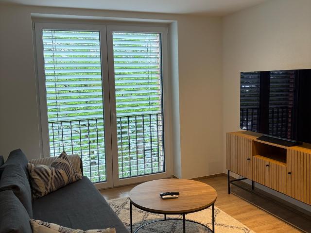 Apartment mieten in Einigen, Zürich