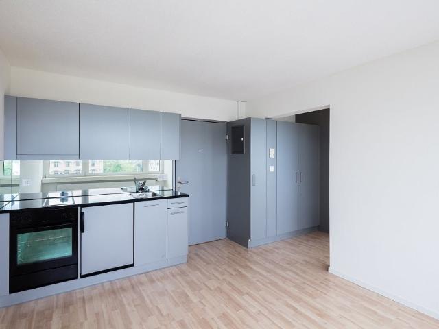 Apartment mieten in Fluntern, Zürich