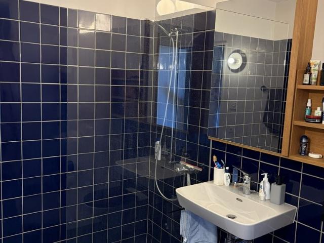 Apartment mieten in Einigen, Zürich