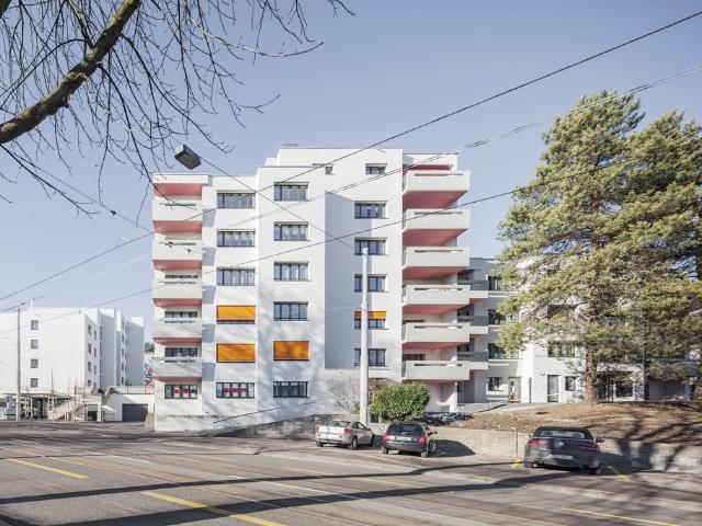 Apartment mieten in Friesenberg, Zürich