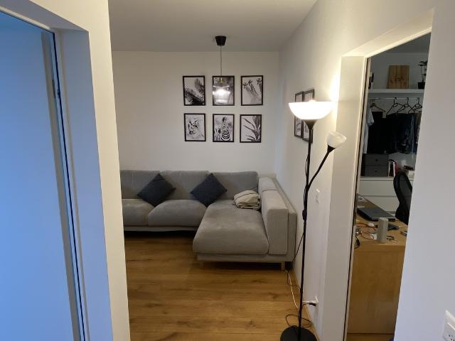 Apartment mieten in Einigen, Zürich