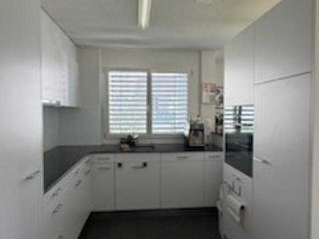Apartment mieten in Einigen, Zürich
