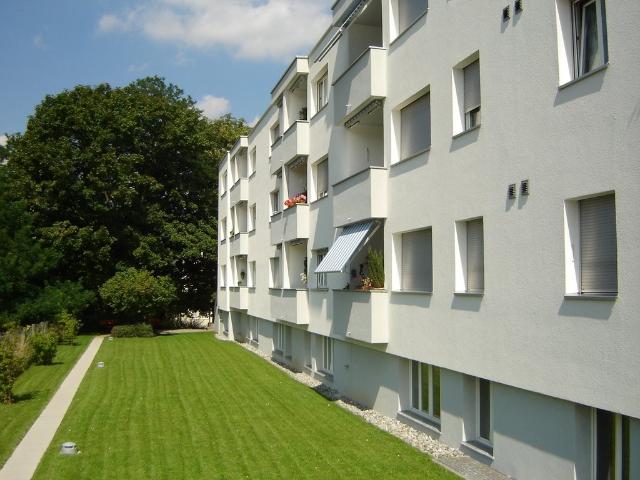 Apartment mieten in Einigen, Zürich