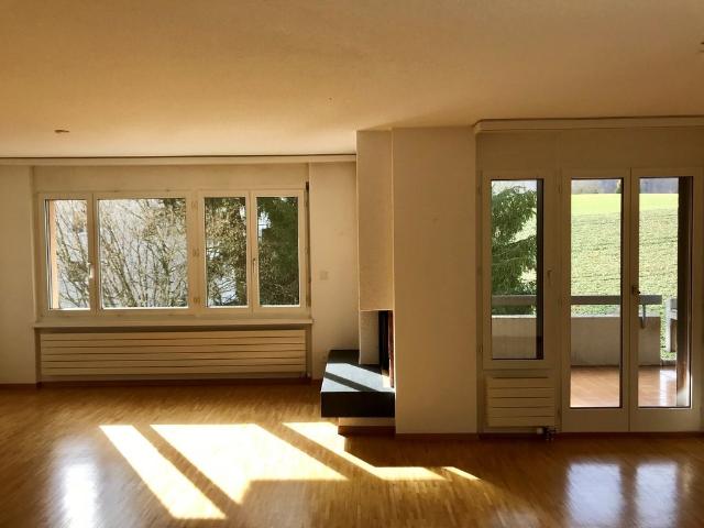 Apartment mieten in Altstetten, Zürich