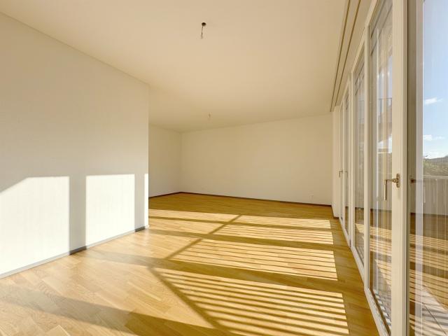 Apartment mieten in Sihlfeld, Zürich