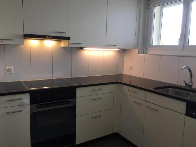 Apartment mieten in Schwamendingen Mitte, Zürich
