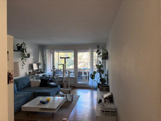 Apartment mieten in Alt-Wiedikon, Zürich