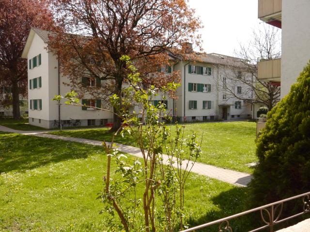 Apartment mieten in Einigen, Zürich