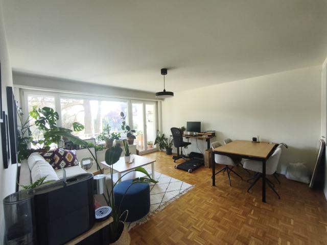 Apartment mieten in Einigen, Zürich