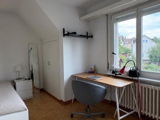 Apartment mieten in Einigen, Zürich