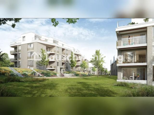 Apartment mieten in Einigen, Zürich