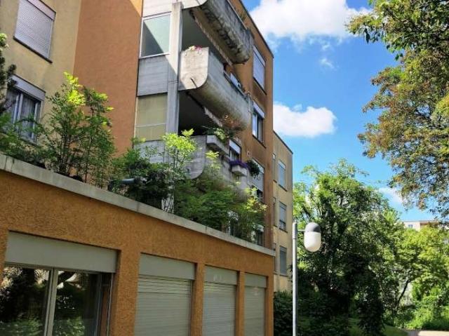 Apartment mieten in Einigen, Zürich