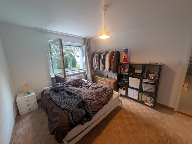 Apartment mieten in Einigen, Zürich