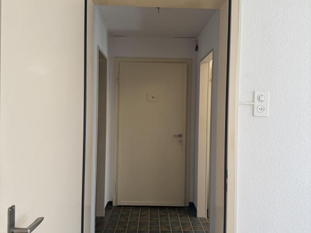 Apartment mieten in Einigen, Zürich