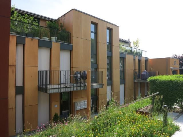 Apartment mieten in Einigen, Zürich