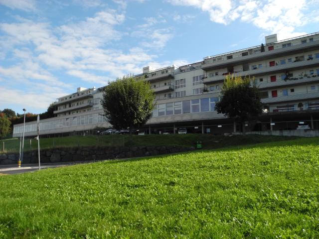 Apartment mieten in Wädenswil, Zürich