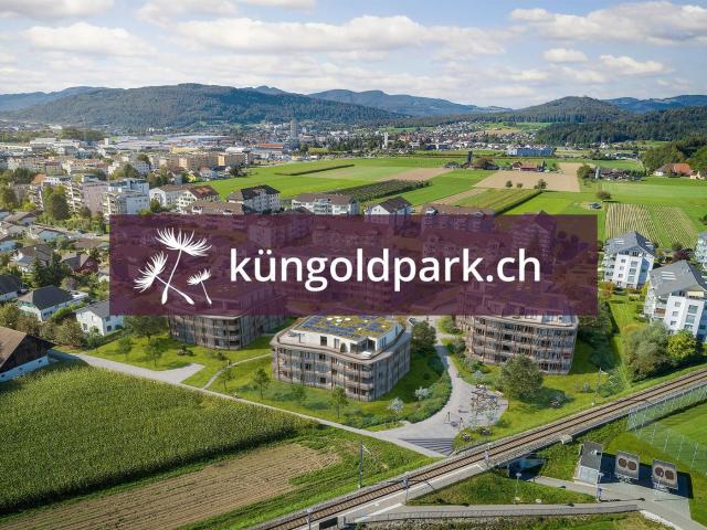 Apartment mieten in Oftringen, Aargau