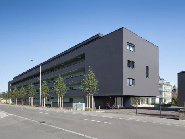 Apartment mieten in Reinach (AG), Aargau