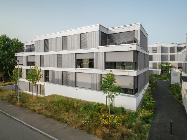 Apartment mieten in Winkel, Zürich