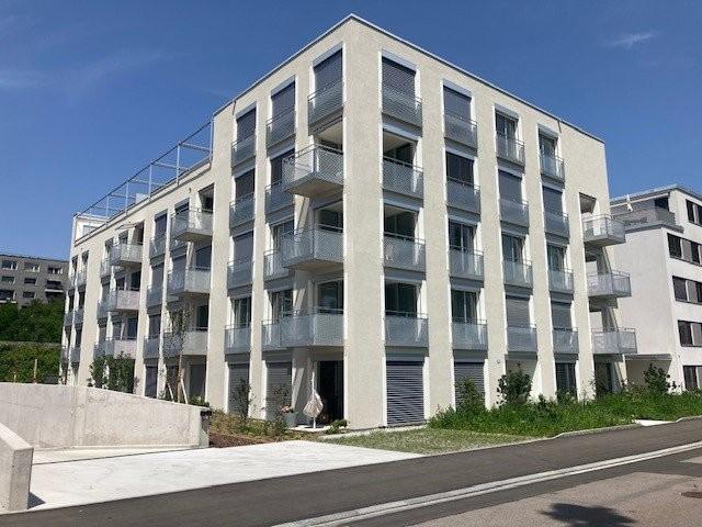 Apartment mieten in Einigen, Zürich