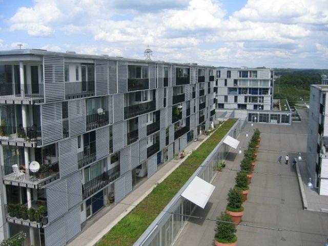 Apartment mieten in Einigen, Zürich